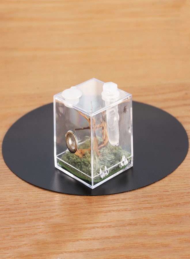 crapelles Jumping Spider Micro Middle Habitat, Small Pet Insect Breeding Box, 360 Degree Transparent Reptile Cage, Acrylic Case Mini Carrier for Amphibians, Feeding Container Enclosure Accessories - Image 3